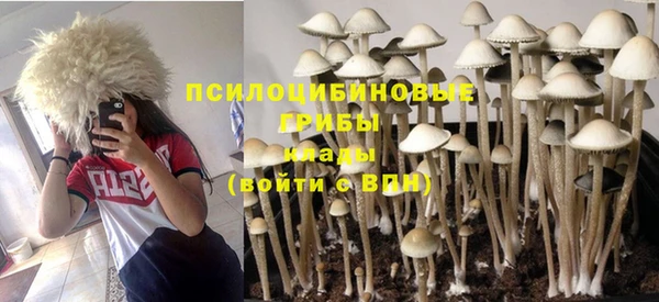 MDMA Верхний Тагил