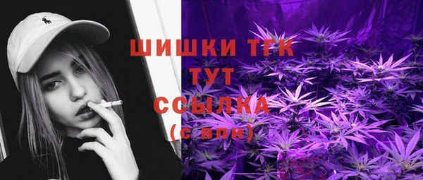 МДПВ Володарск