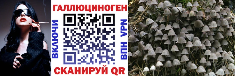 Псилоцибиновые грибы Psilocybe  Купить  Арск 